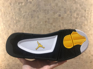 Nike Air Jordan 4 Skin Gray Mouse