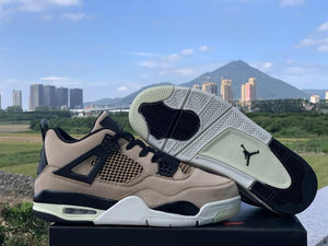 Air Jordan 4 “Mushroom”