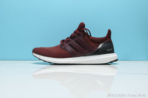 Adidas Ultra Boost Clima 5.0 Shoes